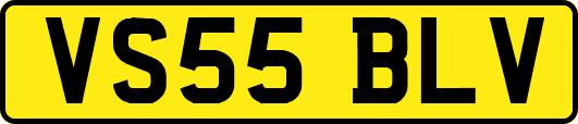 VS55BLV
