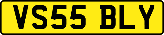 VS55BLY