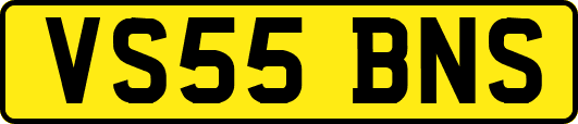 VS55BNS