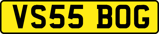 VS55BOG