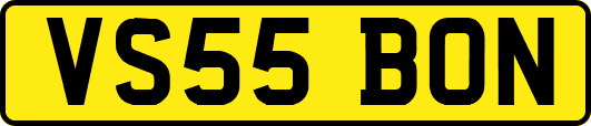 VS55BON