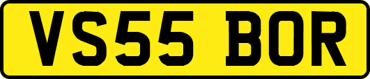 VS55BOR