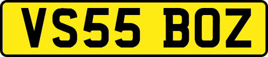 VS55BOZ