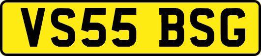 VS55BSG