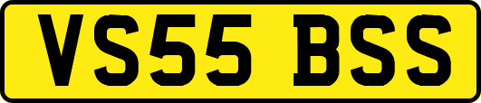 VS55BSS