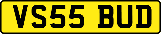 VS55BUD