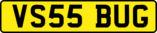 VS55BUG