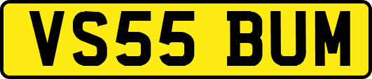 VS55BUM