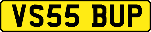 VS55BUP