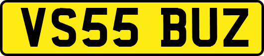VS55BUZ