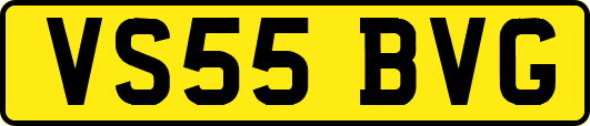 VS55BVG
