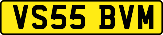 VS55BVM