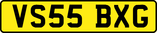 VS55BXG