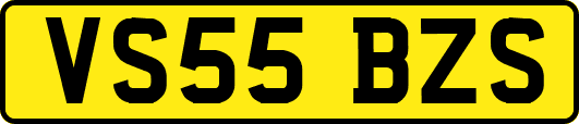 VS55BZS