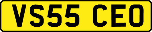 VS55CEO