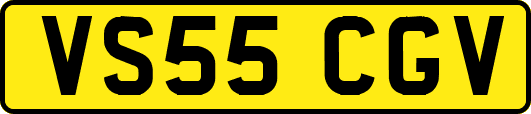VS55CGV