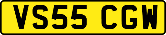 VS55CGW