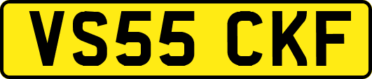 VS55CKF