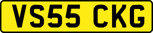VS55CKG
