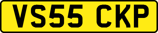 VS55CKP