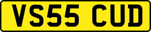VS55CUD