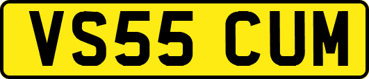 VS55CUM