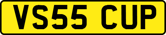 VS55CUP
