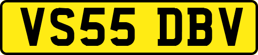 VS55DBV