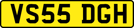 VS55DGH