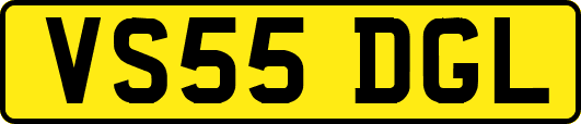 VS55DGL