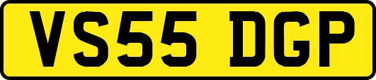 VS55DGP