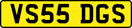 VS55DGS