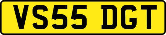 VS55DGT