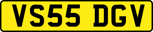 VS55DGV