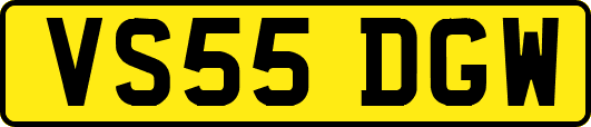VS55DGW