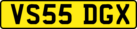 VS55DGX
