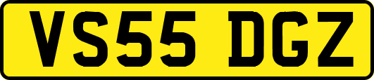 VS55DGZ