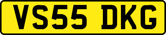 VS55DKG