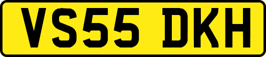 VS55DKH