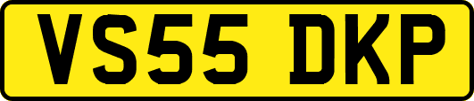 VS55DKP