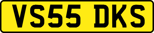 VS55DKS