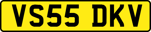 VS55DKV