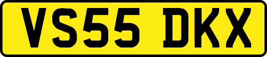 VS55DKX