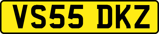 VS55DKZ