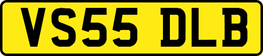 VS55DLB