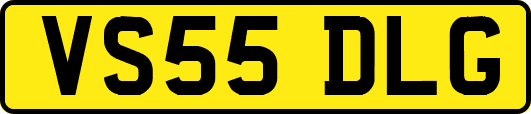 VS55DLG