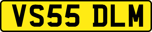 VS55DLM