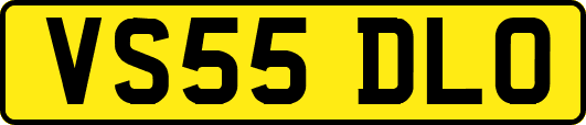 VS55DLO
