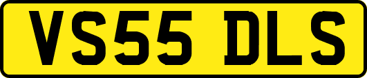 VS55DLS