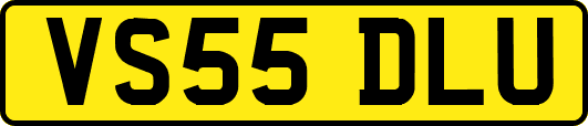 VS55DLU